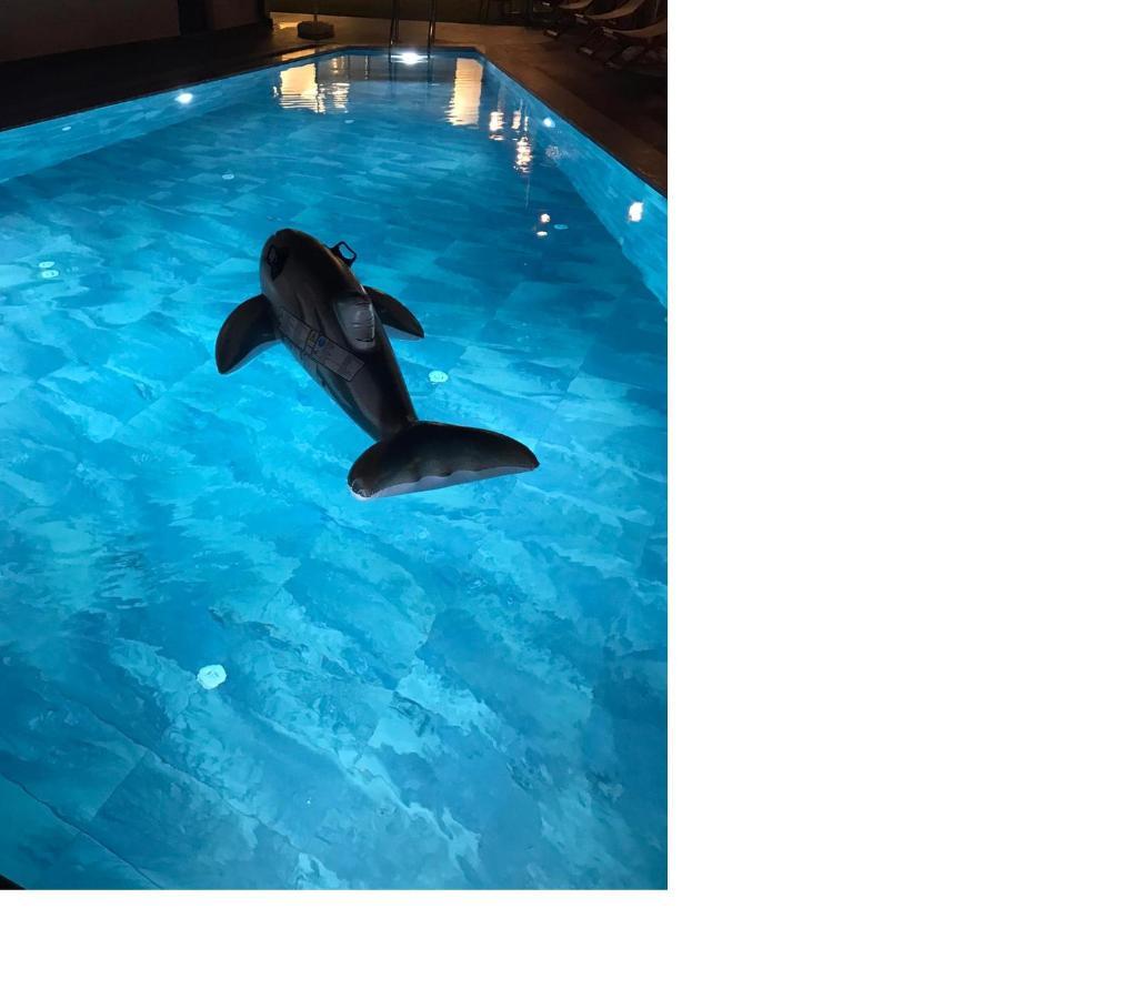 Casa Luxury Hotel 교젝 외부 사진